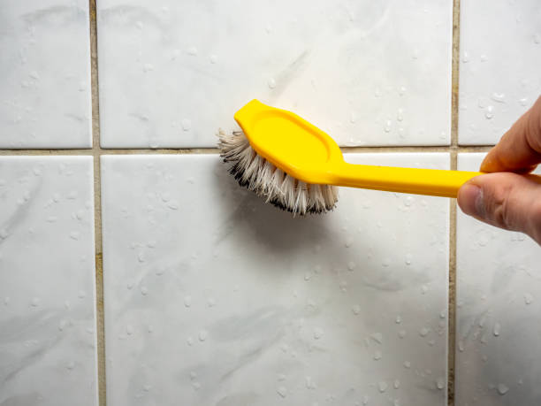 Best Certified Mold Removal  in Pomona Park, FL