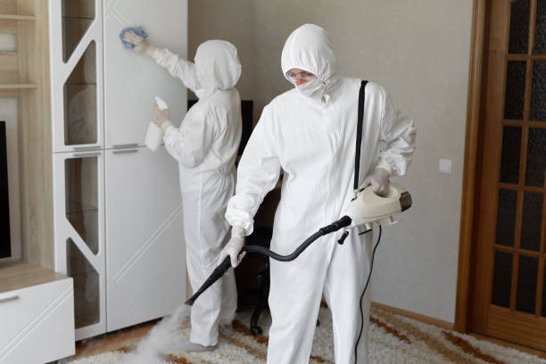 Best Commercial Mold Removal  in Pomona Park, FL