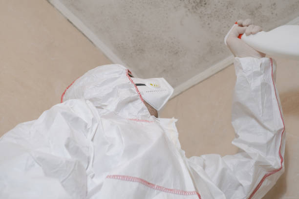 Best Professional Mold Removal  in Pomona Park, FL