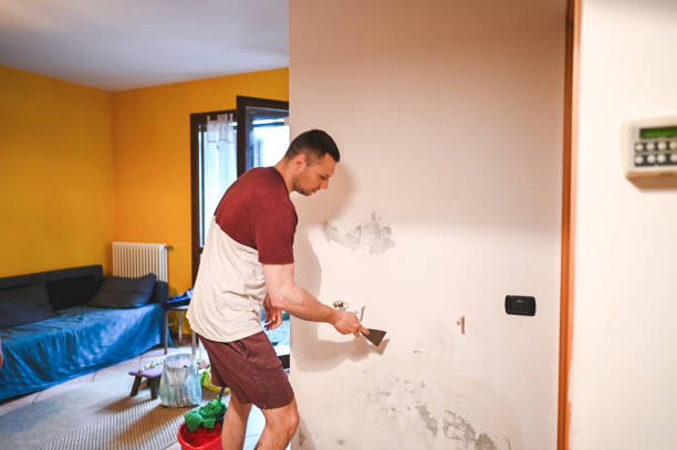 Best Mold Cleaning Services  in Pomona Park, FL